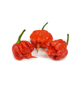 Carolina Reaper -Il Più Piccante al Mondo-