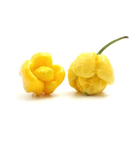7 Pot Yellow (Super Hot)