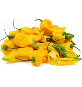 Fatalii Yellow